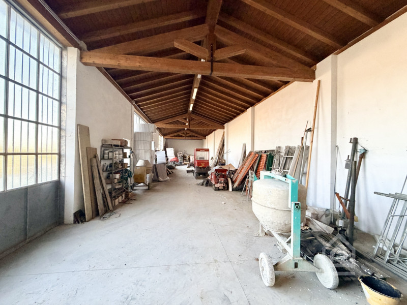 immagine annuncio 3 di 10