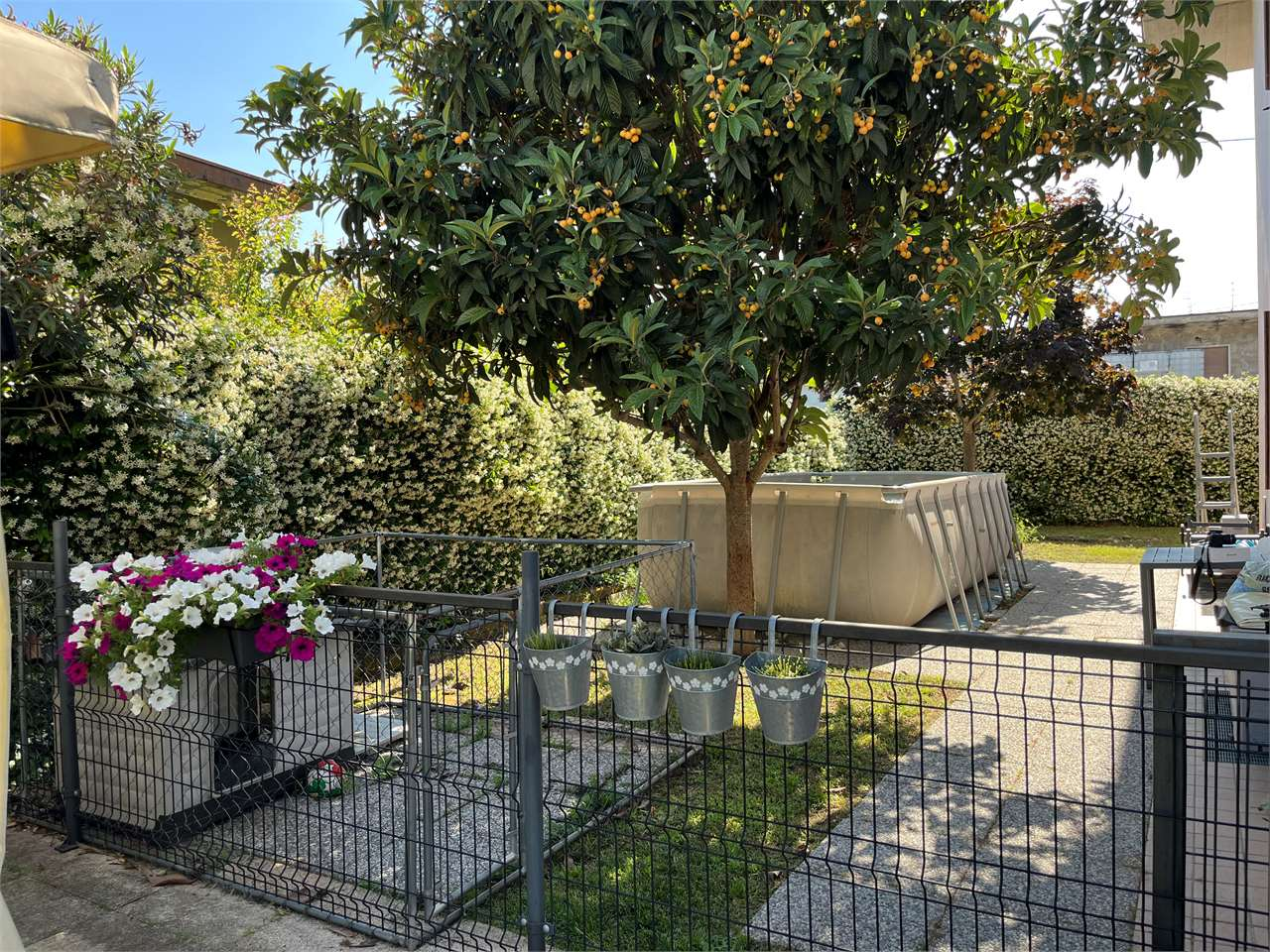 immagine annuncio 5 di 10