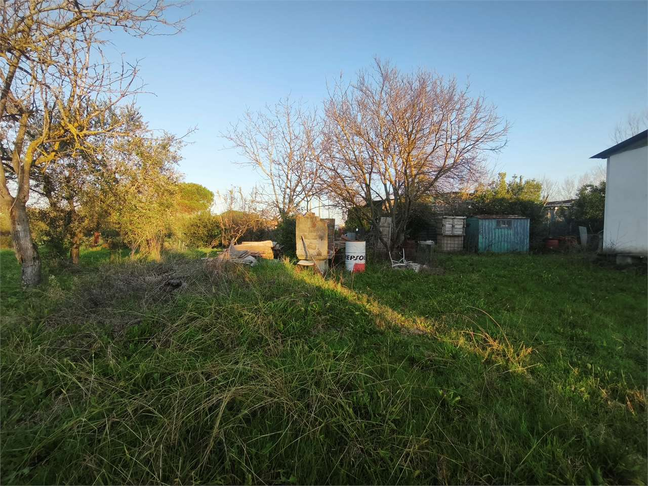 immagine annuncio 5 di 6