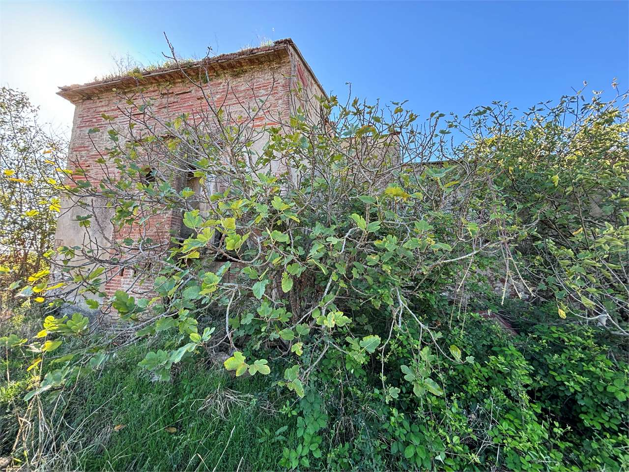 immagine annuncio 2 di 6