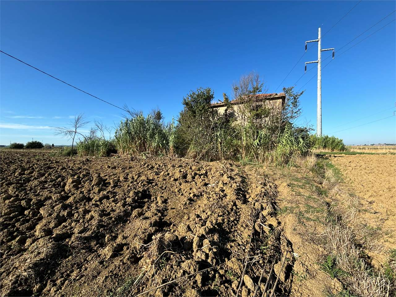 immagine annuncio 3 di 6