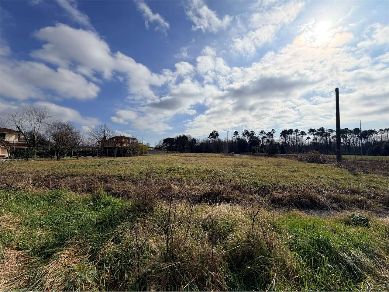 immagine annuncio 2 di 8