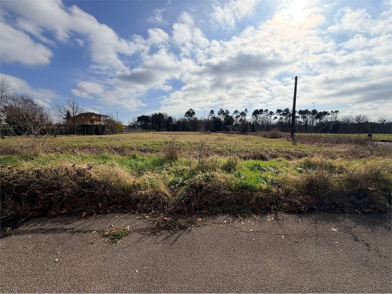 immagine annuncio 1 di 8