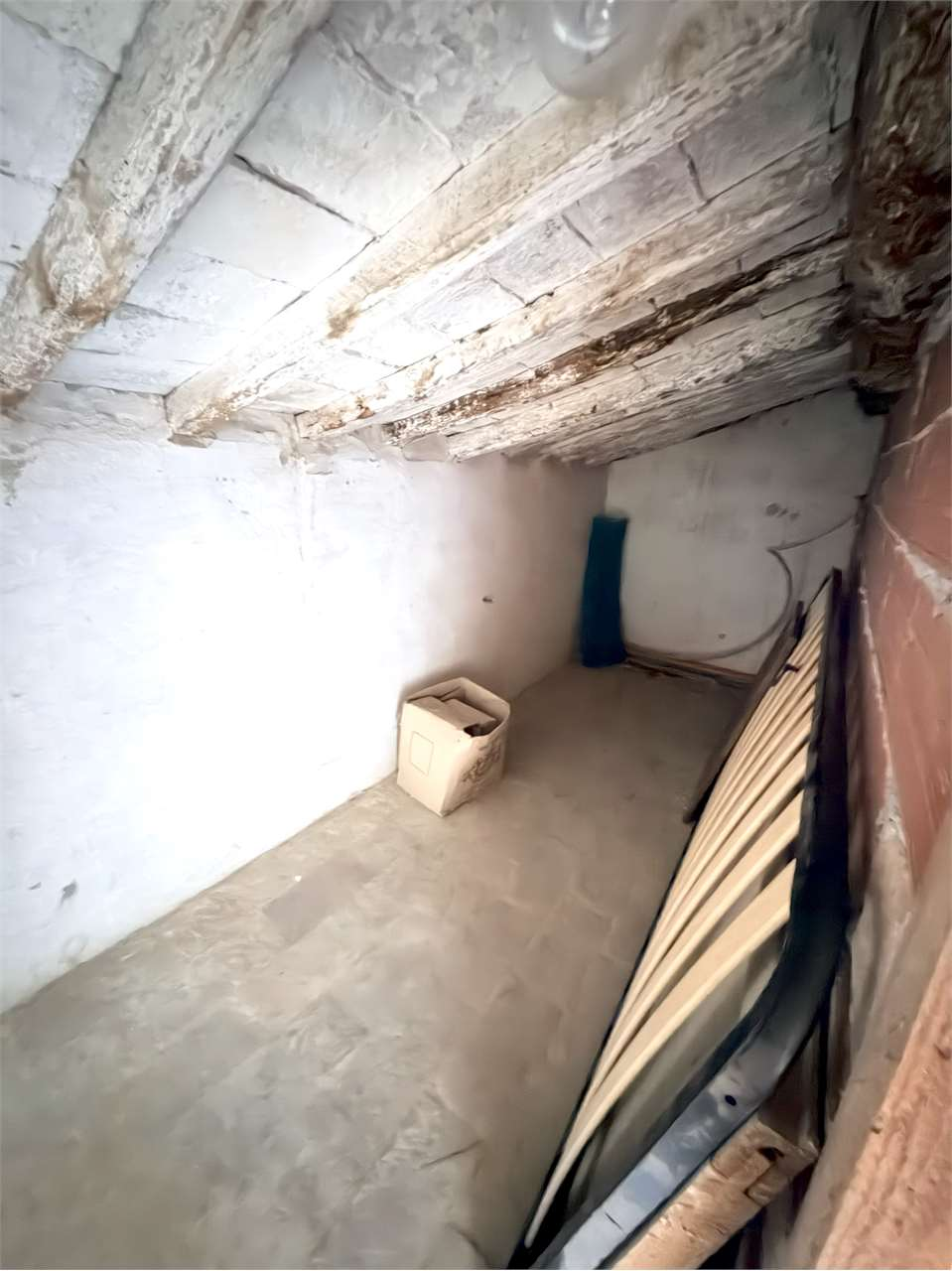 immagine annuncio 6 di 8