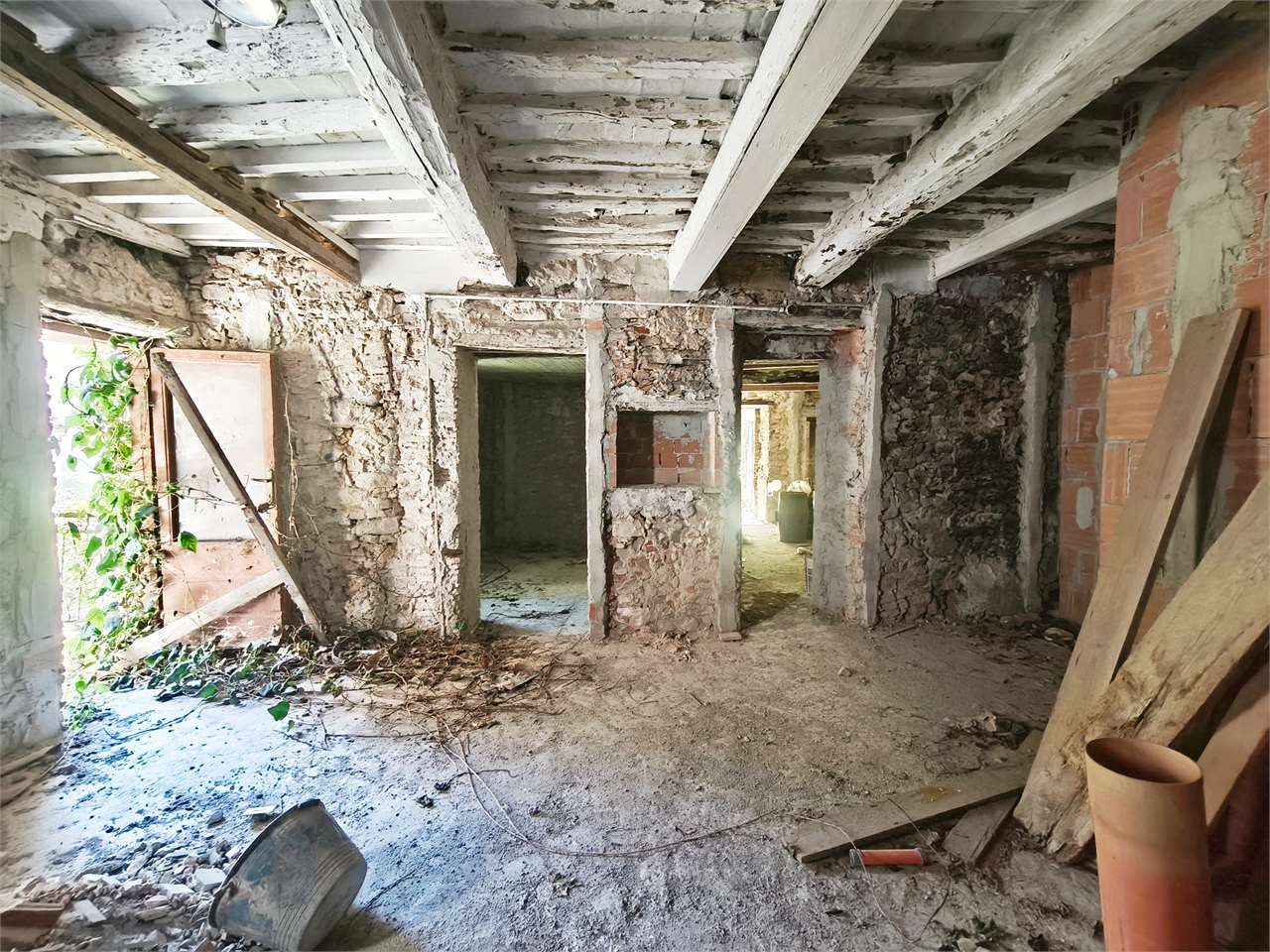 immagine annuncio 2 di 8