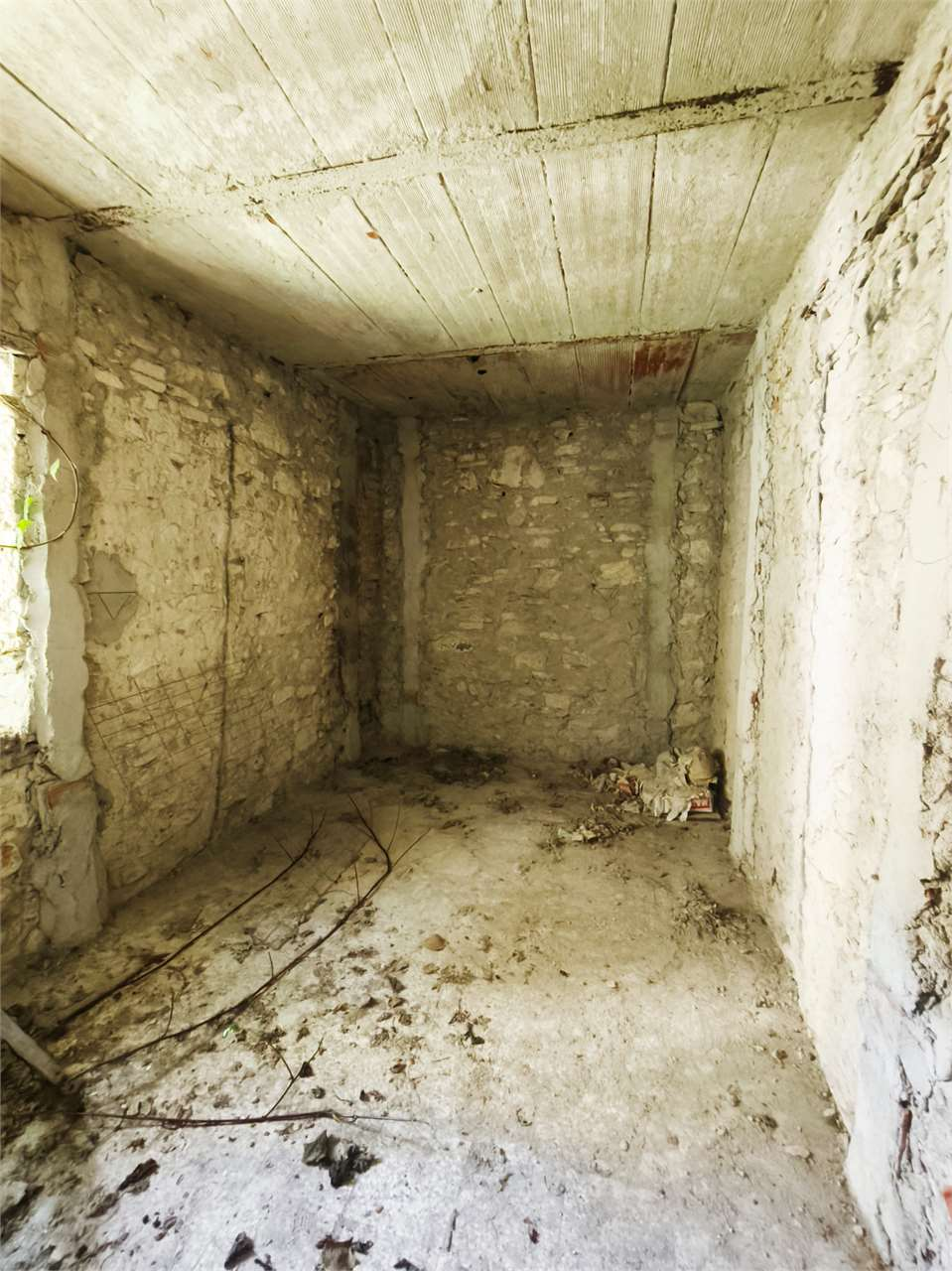 immagine annuncio 3 di 8