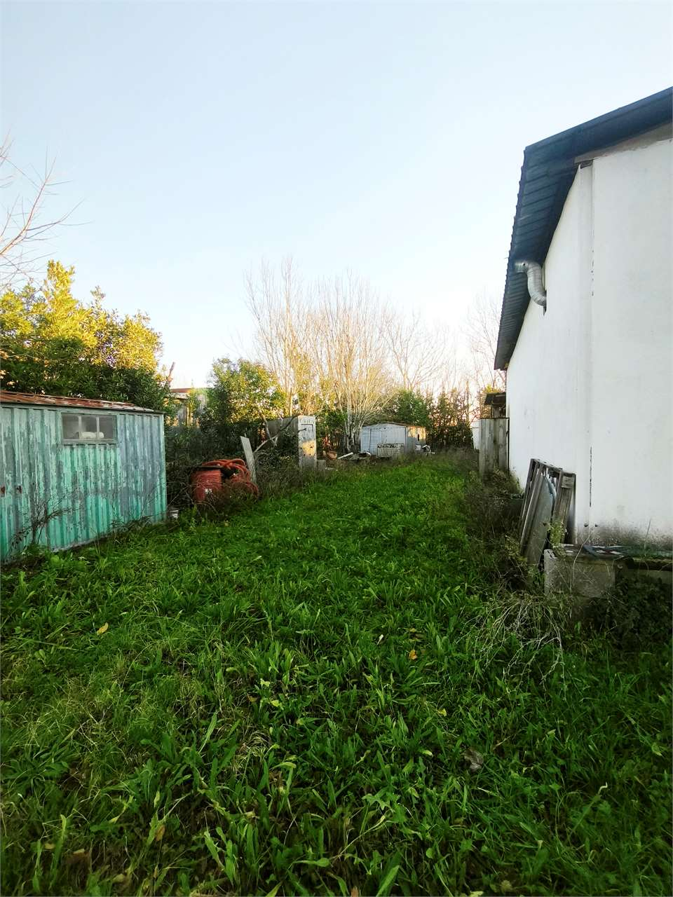 immagine annuncio 3 di 6