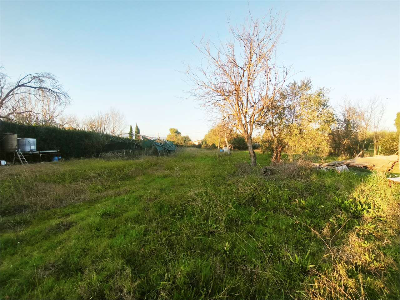 immagine annuncio 5 di 6