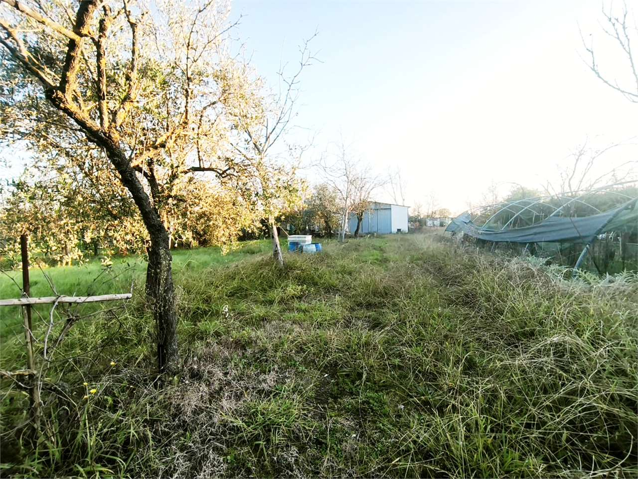 immagine annuncio 5 di 6