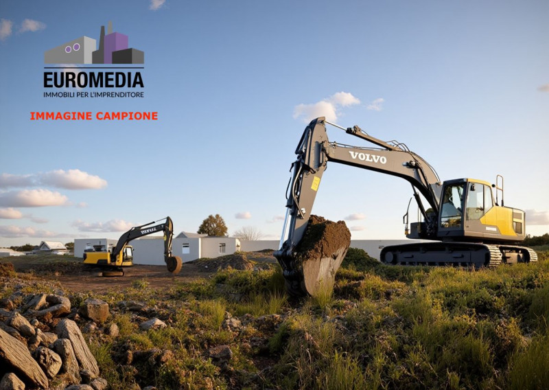 immagine annuncio 4 di 6