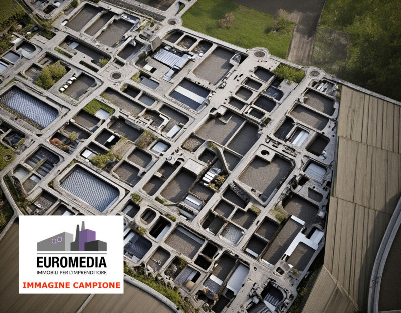 immagine annuncio 5 di 6