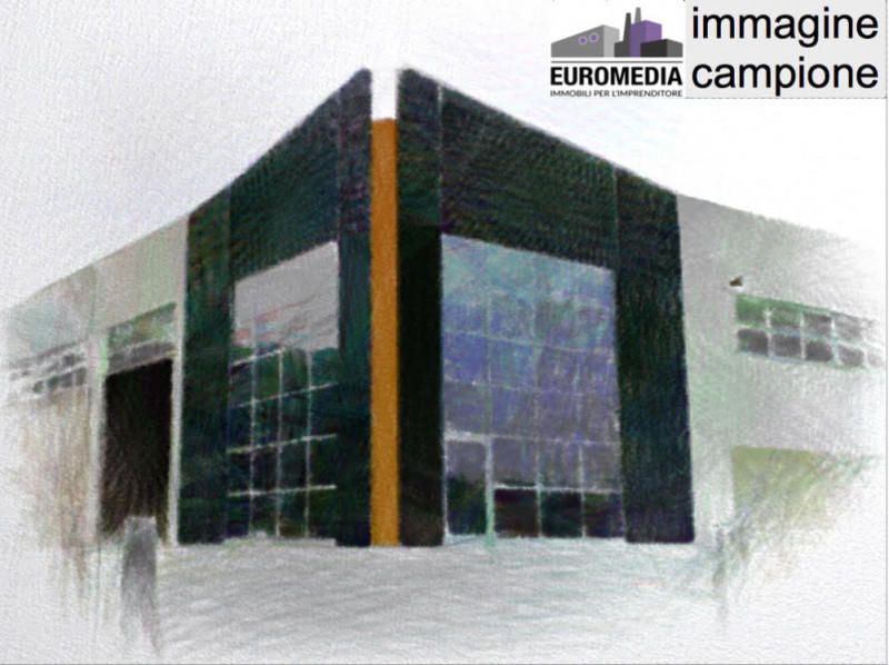 immagine annuncio 1 di 10