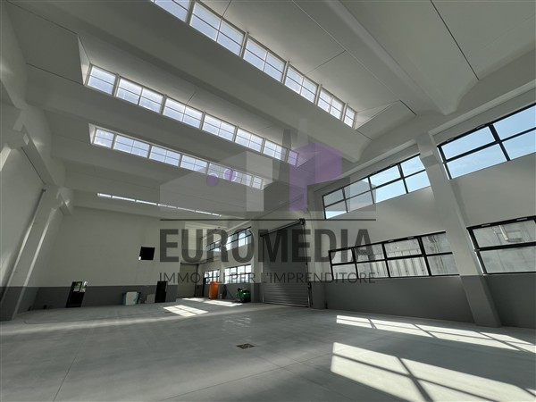 immagine annuncio 2 di 4