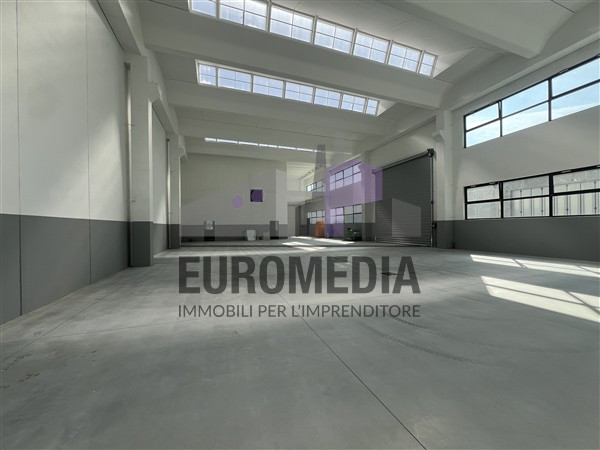 immagine annuncio 5 di 7