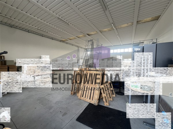 immagine annuncio 2 di 7