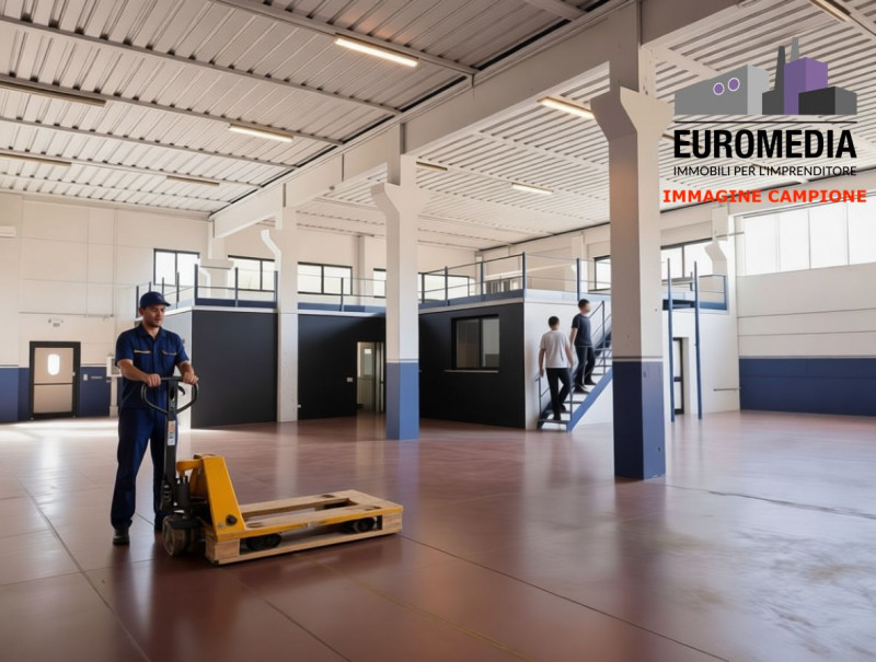 immagine annuncio 9 di 10