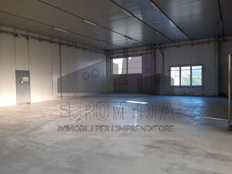 immagine annuncio 6 di 7