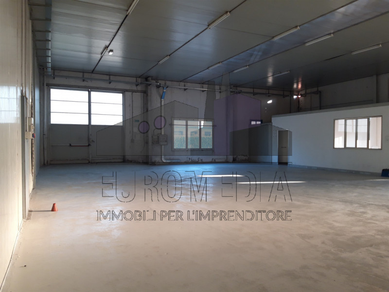 immagine annuncio 2 di 7