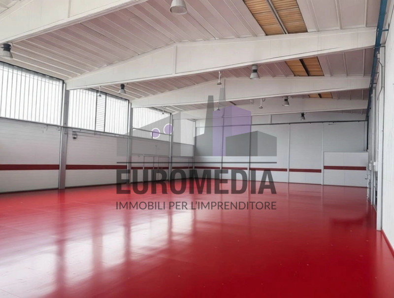 immagine annuncio 7 di 8