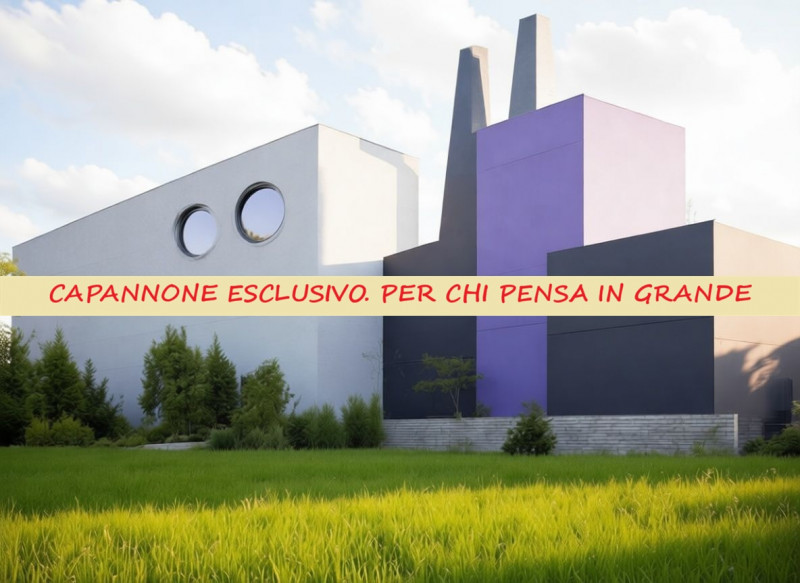 immagine annuncio 3 di 9