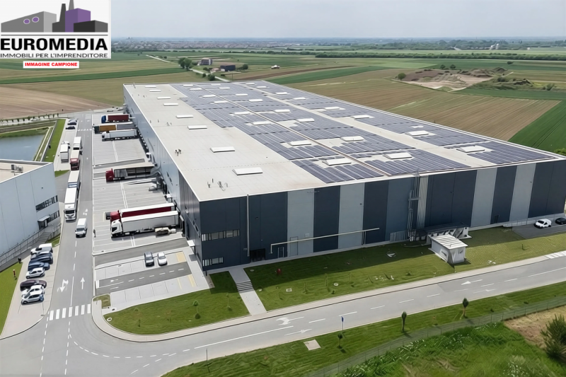 immagine annuncio 5 di 9