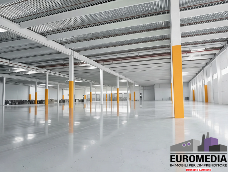 immagine annuncio 4 di 9