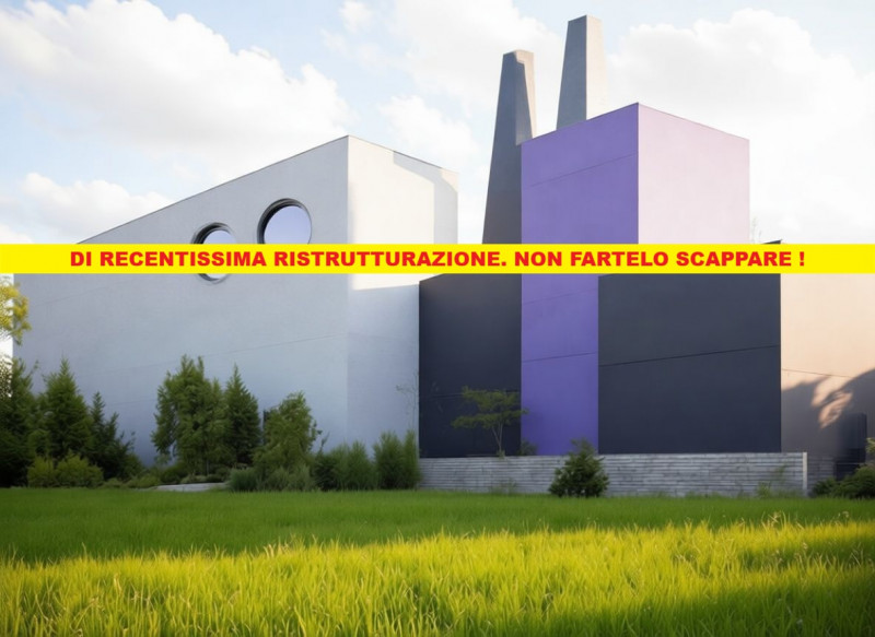 immagine annuncio 2 di 6