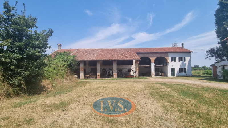 immagine annuncio 4 di 6