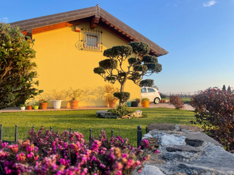 immagine annuncio 1 di 4