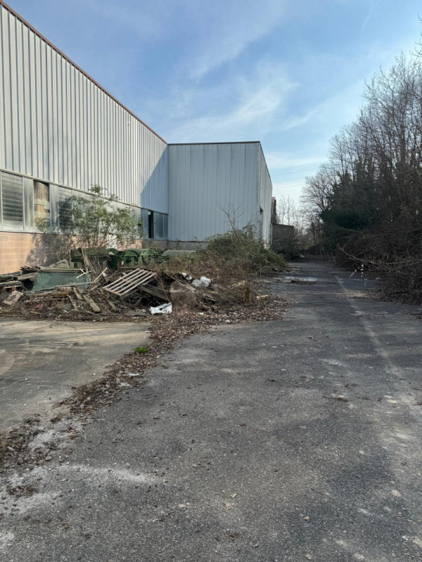 immagine annuncio 1 di 8