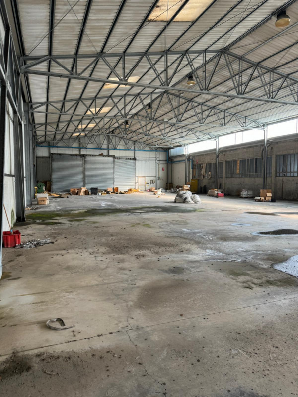 immagine annuncio 5 di 8