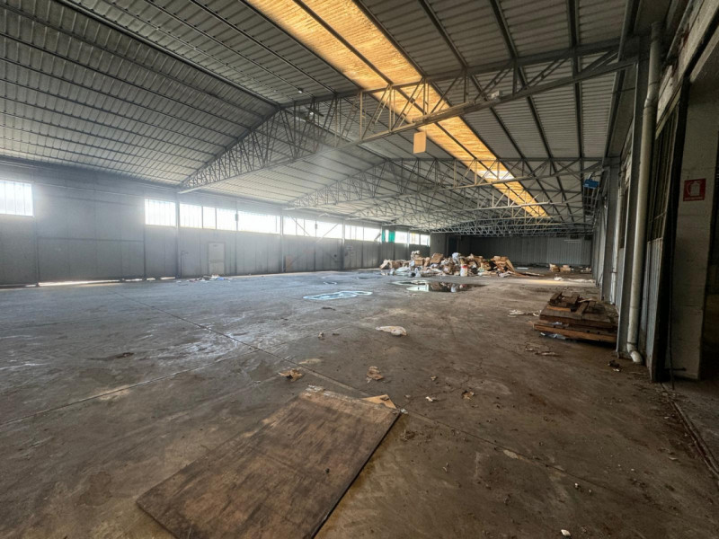 immagine annuncio 6 di 8