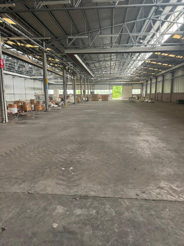 immagine annuncio 7 di 8