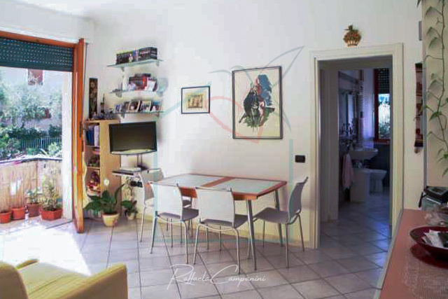 immagine annuncio 3 di 7