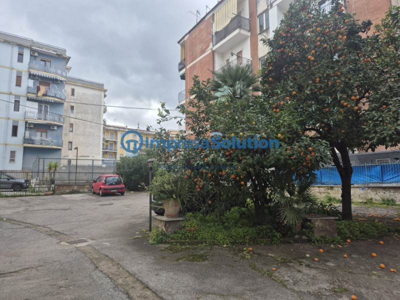 immagine annuncio 4 di 10