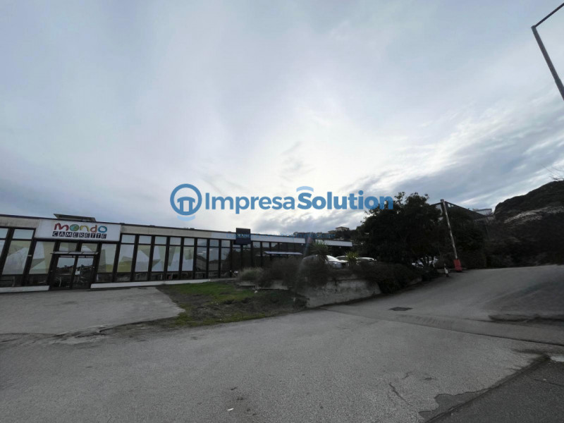 immagine annuncio 2 di 10