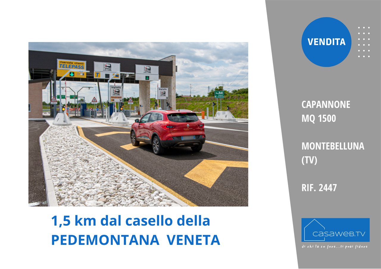 immagine annuncio 6 di 9