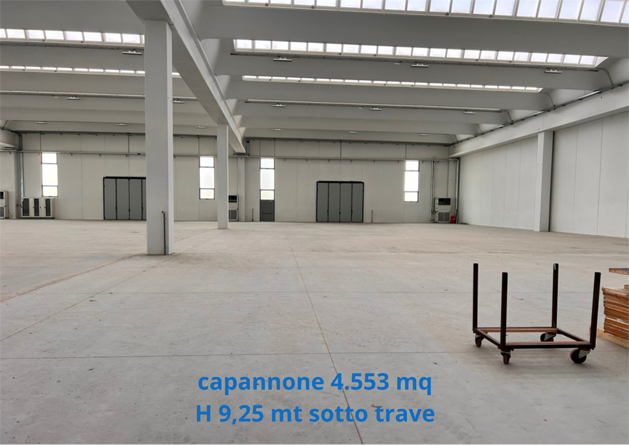 immagine annuncio 6 di 10