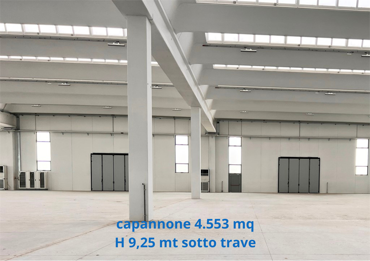 immagine annuncio 8 di 10