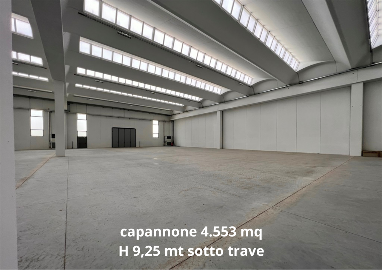 immagine annuncio 9 di 10