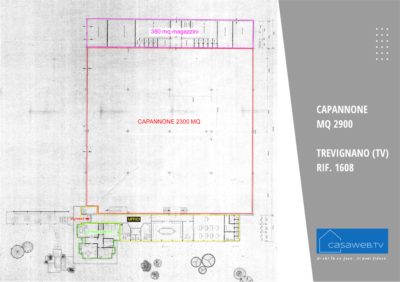 immagine annuncio 3 di 10