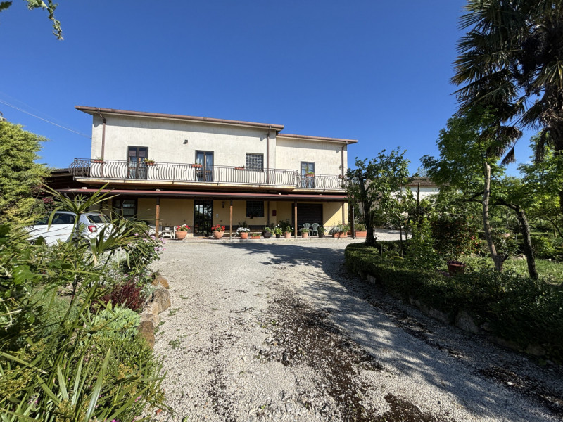 immagine annuncio 4 di 9