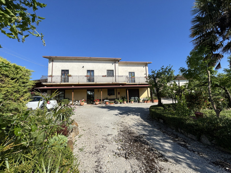 immagine annuncio 2 di 9