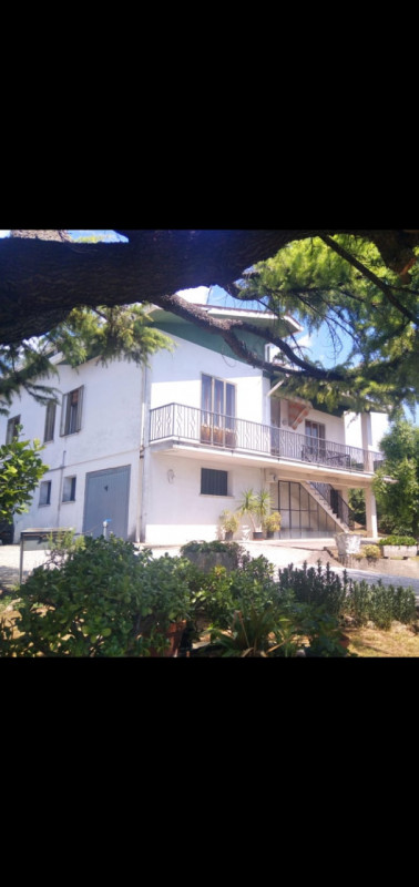 immagine annuncio 5 di 7