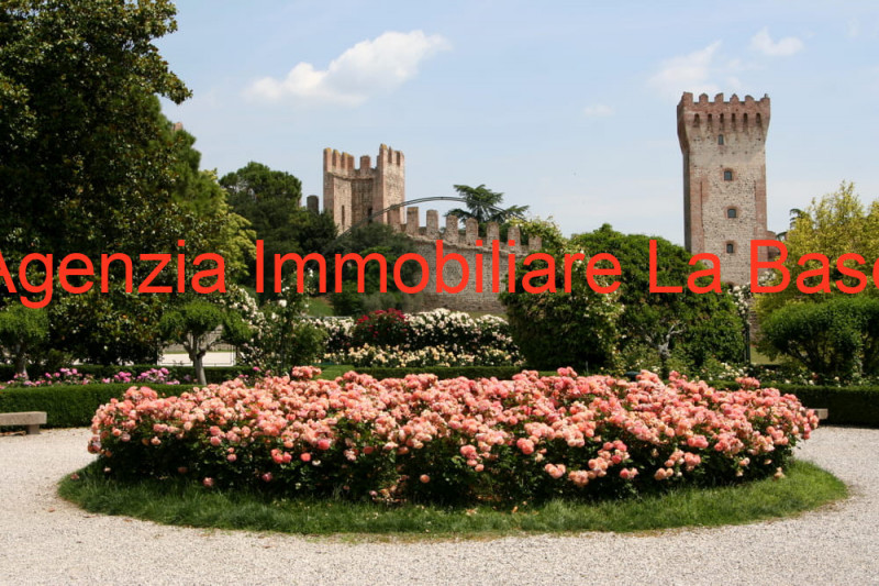 immagine annuncio 6 di 7