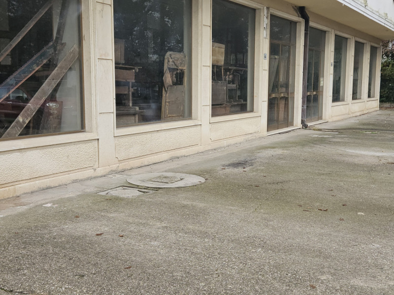 immagine annuncio 1 di 8