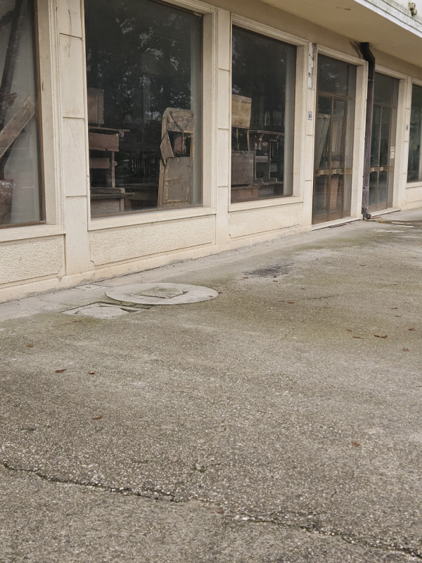 immagine annuncio 4 di 8