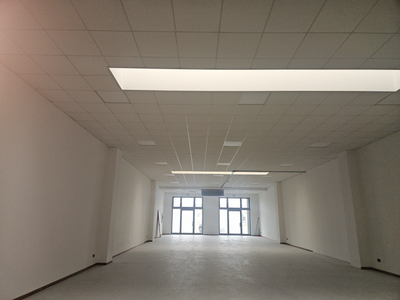 immagine annuncio 4 di 8