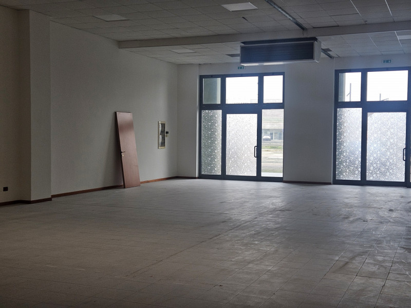 immagine annuncio 5 di 8