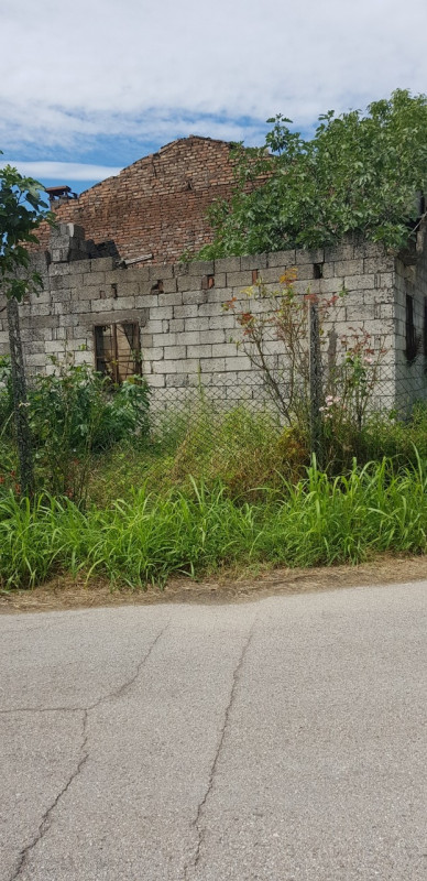 immagine annuncio 4 di 7